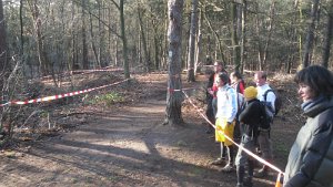 Cross in Buchholz Oetzy 63
